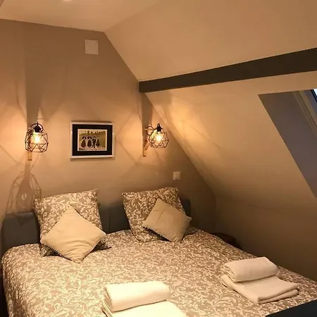 -bm Gretel-modern Duplex With Cathedral View Colmar